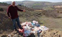 Olimpiyat şampiyonu Mahmut Demir çevre dedektifliğine soyundu: 'Amasya'nın zirvesinde çevre kirliliği var'