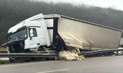 Park halindeki tır kendi kendine hareket etti: Faciadan dönüldü