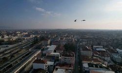 Sakarya'da aynı anda iki mevsim yaşanıyor