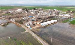 Şanlıurfa'da şiddetli yağışlar tarlaları göle çevirdi