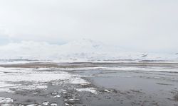 Sarısu sazlıkları ile Süphan Dağı'nın karlı zirvesi göz kamaştırıyor