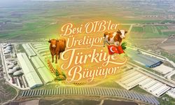 Suluova Besi OTB'de 15 bin 650 büyükbaş kapasite, bin 500 kişiye istihdam