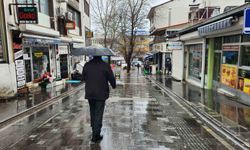 Tunceli'de sağanak yağış etkili oldu