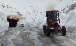 Türkiye'de kar rekoru Van'da kırıldı: Karabet Geçidi'nde kar kalınlığı 3 metreyi geçti
