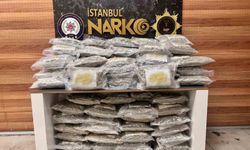 Tuzla'da uyuşturucu operasyonu: 51 kilo skunk ele geçirildi