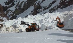 Van-Hakkari kara yolunda çığ sonrası çalışmalar sürüyor