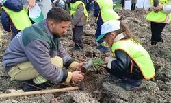 Yanan sahada geleceğe nefes: Aliağa'da yeni orman için ilk fidanlar dikildi