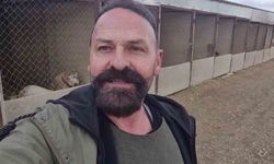 Yavru kangal gönlünü Sibirya kurduna kaptırdı