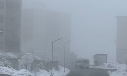 Yüksekova'da yoğun sis seyirlik görüntüler oluşturdu