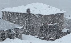 Yüksekova'ya kış geri geldi