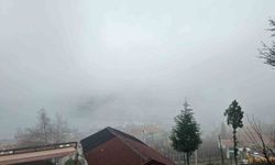 Zonguldak'ta sis etkili oldu