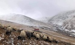 300 yıllık kullanıma müdahale tepki çekti