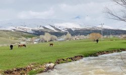 Ağrı'da iki mevsim bir arada