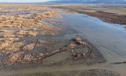 Akşehir Gölü'nde yıllardır görülmeyen oldu