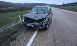 Ankara'da aracın çarptığı geyik telef oldu