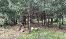 Anne ve oğlunu öldüren katil akrabaların çaldıkları altınları kuyumcuya sattıkları ortaya çıktı