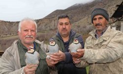 Atadan toruna kalan miras: 'Baskın keklik' yöntemiyle dev envanter