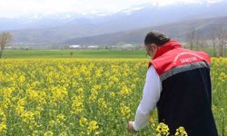 Ayçiçeği ve kuru fasulye tohumları çiftçilere teslim edildi