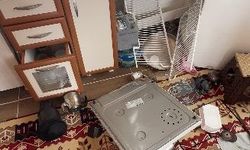 Ayılar Trabzon'da yaylalardan sonra mahallelere dadandı