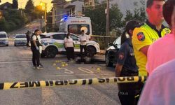 Baba ve oğlu sokak ortasında öldüren yaşlı adam: 'Keşke dolandırılmasaydım'