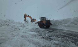 Bahçesaray yolundaki çalışma kar yağışı altında devam ediyor