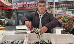 Balık tezgahlarında kıyı balıkçılığı mesaisi