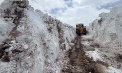 Bingöl'de nisan ayında metrelerce karla mücadele