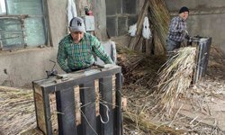 Bir zamanlar her evde bulunan hasır yastıklar zamana yenik düştü