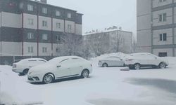 Bitlis nisan ayında yeniden beyaza büründü