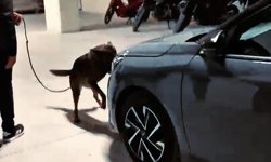 Çanakkale'de farklı suçlardan aranması bulunan 97 kişi yakalandı