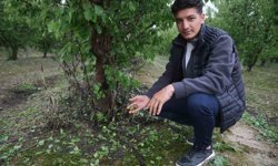 Çevreyi beyaza bürüyen fındık büyüklüğündeki dolu tarım arazilerini vurdu