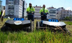 Çimleri artık robotlar biçiyor: 6 kişilik işi 2 robot yapıyor