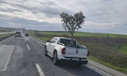 D100'de şaşırtan görüntü: Pikapta zeytin ağacı taşıdılar