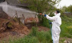 Düzce'de daha uçmadan bitirmek için mücadele başladı