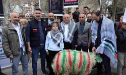 Elleriyle besleyip büyüttüğü kuzuyu Gazze'ye bağışladı