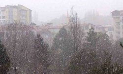 Erken göçen leyleklere kar sürprizi