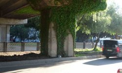 Feci kazada hayatını kaybeden kız, gelinlik ve duvakla uğurlandı