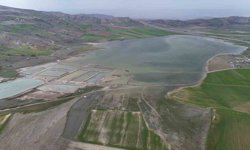 Göçmen kuşların uğrak mekanı, son yağışlarla doldu taştı