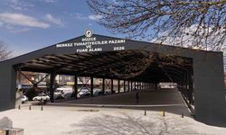 Hem pazaryeri hem fuar alanı