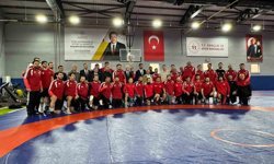 İstanbul Vali Davut Gül, milli güreşçileri ziyaret etti
