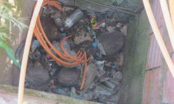 İtfaiyeden rögarda üç kirpi, bacada serçe mesaisi