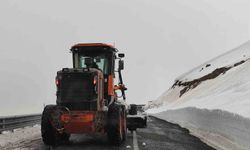 Kapalı olan Ardahan-Ardanuç kara yolu ulaşıma açıldı