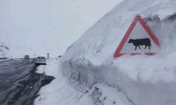 Kar kalınlığı tabela boyunu geçti