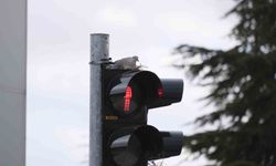 Karaman'ın en işlek kavşağındaki trafik lambasına yuva yapan kumru görenleri şaşırtıyor
