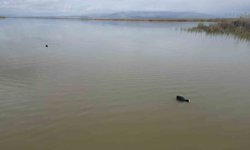 Karaya oturan kayıklar, su seviyesi artınca yüzmeye başladı, ortaya çıkan adacıklar yok oldu