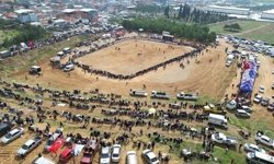 Kemalpaşa'da 3. Boğa Güreşi Festivali heyecanı