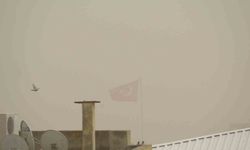 Kilis'te toz taşınımı hayatı olumsuz etkiliyor