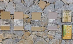 Kırşehir'de Sakura Festivali ve Plastik Sanatlar Sergisi Açıldı