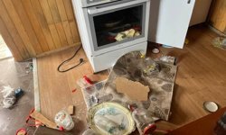 Kış uykusu bitti, ayı istilası başladı