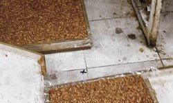 Kötü koku üzerine girilen evde mide bulandıran şartlarda lokum ve cezerye üretildiği ortaya çıktı